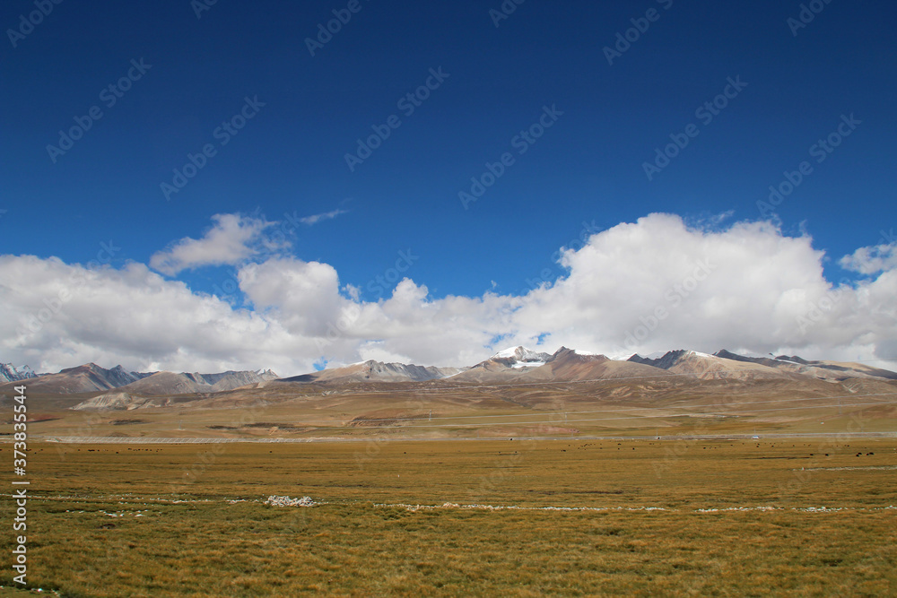 View of ice mountains and yaks with the dramatic sky in Tibet, China