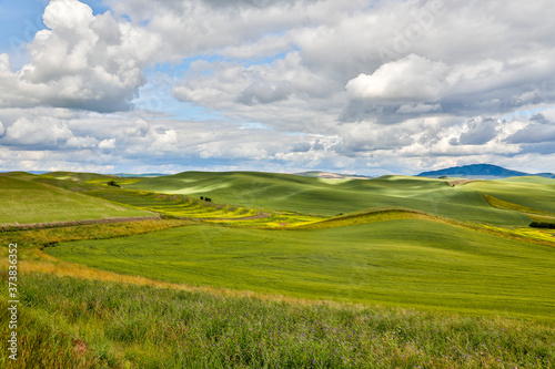 USA, Washington State, Palouse. Rolling hills in the town of Colfax. photo