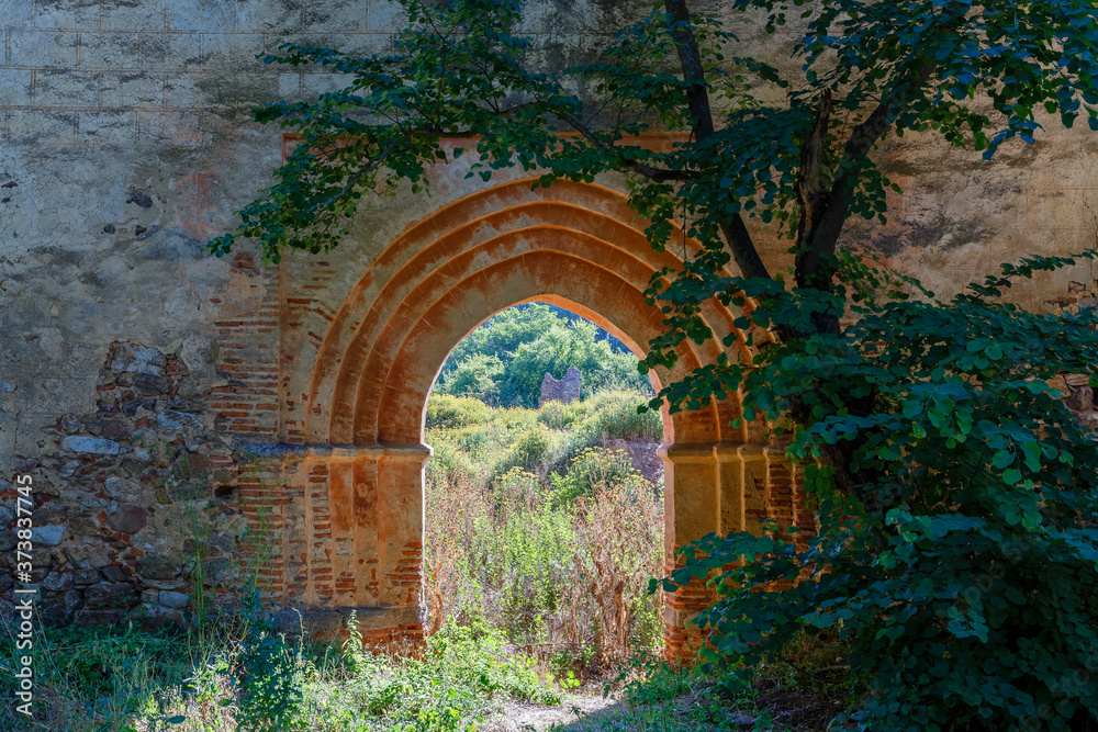 Tree and entrance arch to the church. Ruins of the Royal Monastery of Santa María de Nogales. San Esteban de Nogales, León, Spain.