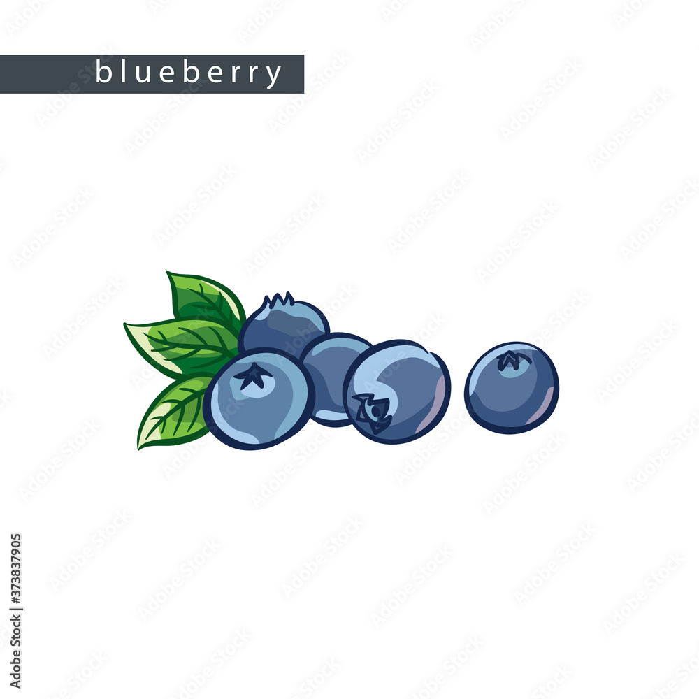 sketch_blueberry_five_berries_with_leaves sketch_blueberry_five_berries_with_leaves