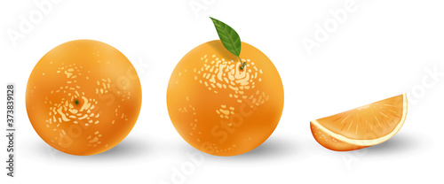 Realistic set of oranges isolated on white. Fresh ripe oranges with leaves. Tropical fruits vector illustration