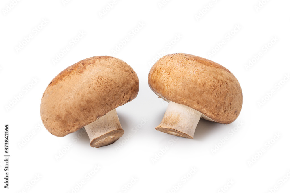Tasty mushroom isolated on white background.