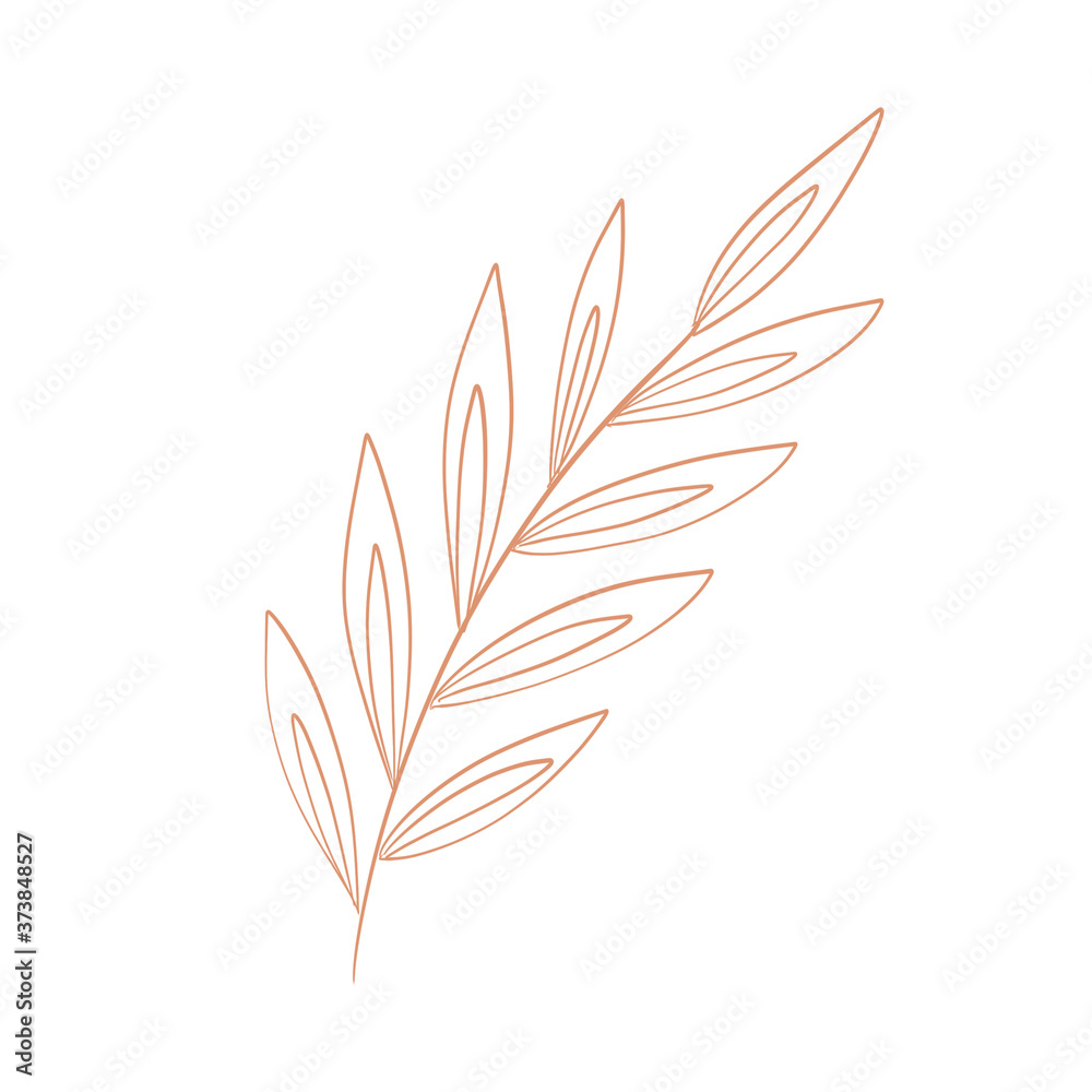 Leaf Background Hand Drawn Illustration	