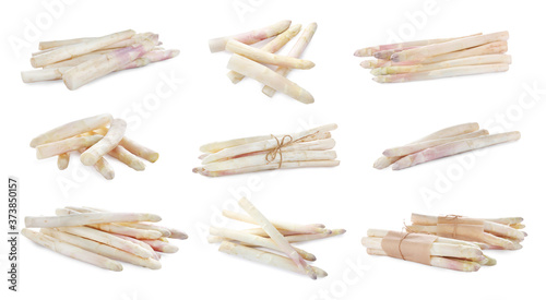 Set with fresh ripe asparagus on white background. Banner design