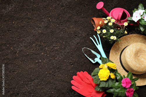 Fototapeta Naklejka Na Ścianę i Meble -  Flat lay composition with gardening tools and flowers on soil, space for text