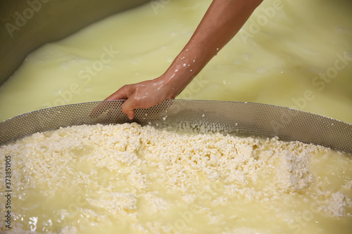 Schilderij op canvas Worker separating curd from whey in tank at cheese factory, closeup