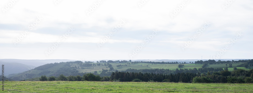 landscape with forests and meadows in german eifel