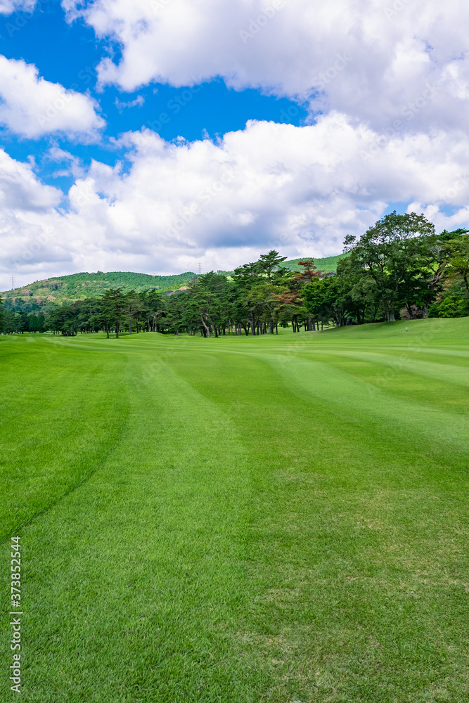 Golf Course with beautiful green field. Golf course with a rich green turf beautiful scenery.