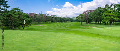 Golf Course with beautiful green field. Golf course with a rich green turf beautiful scenery.