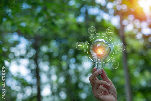 Light bulbs that grow, in the concept of energy in nature.