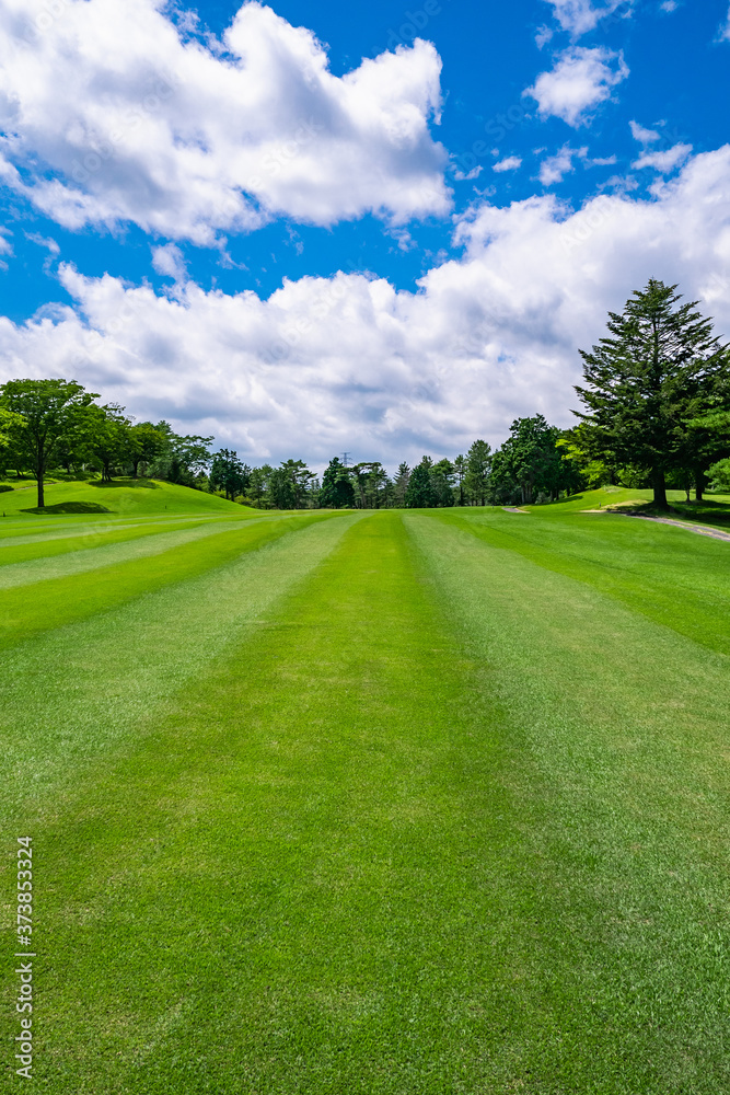 Naklejka premium Golf Course with beautiful green field. Golf course with a rich green turf beautiful scenery.