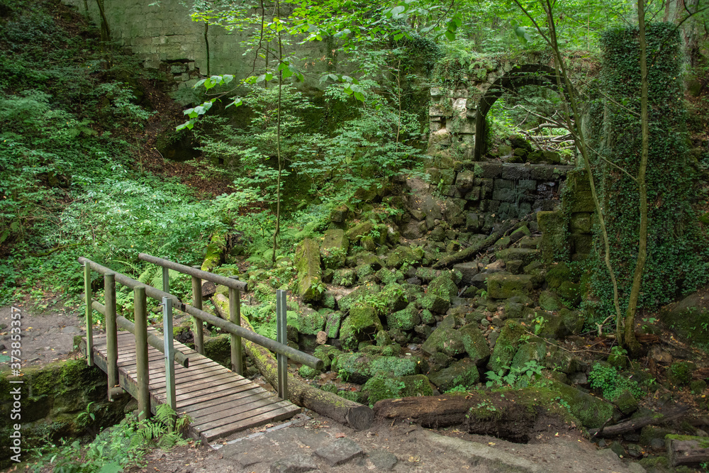 Obraz premium River Polenz Valley (Polenzthal) below the town of Hohnstein, Swiss Saxony National Park near Dresden, Germany, Saxony
