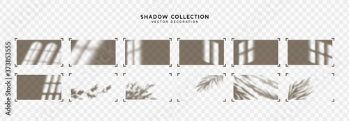 Shadow overlay Window frames and leaves. Effect light transparent shadow. Realistic creating reflective effect illusions. Overlay for adding scene lighting to your images. Vector illustration.