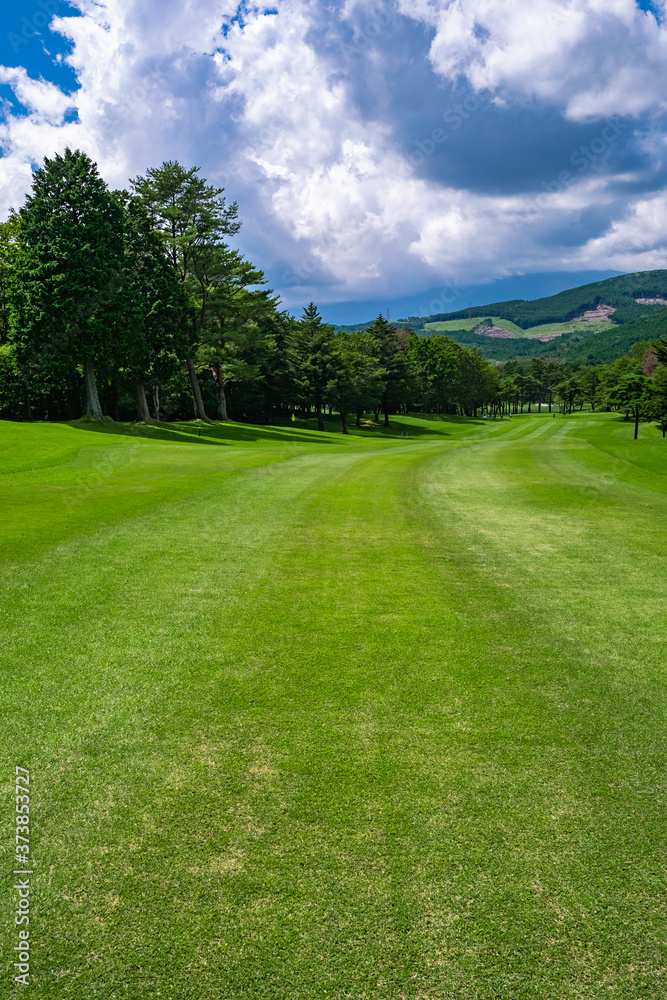 Golf Course with beautiful green field. Golf course with a rich green turf beautiful scenery. Golf Course with beautiful green field. Golf course with a rich green turf beautiful scenery.