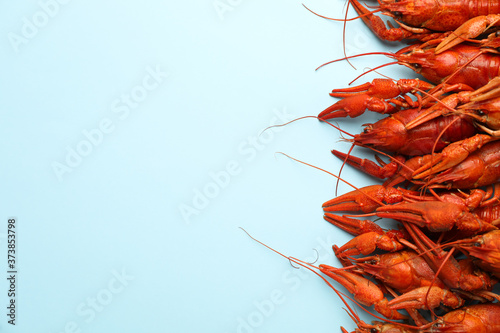 Delicious boiled crayfishes on light blue background, flat lay. Space for text