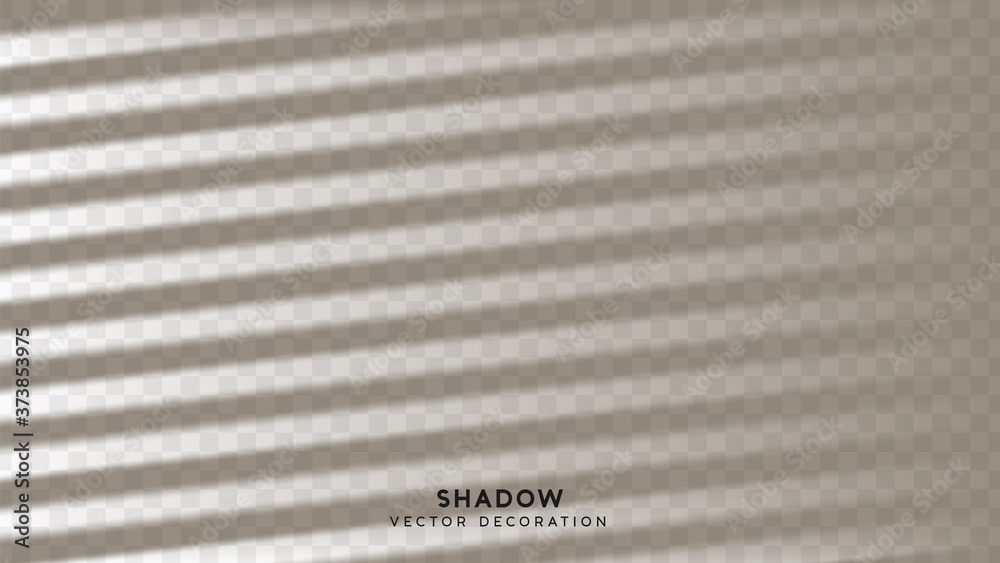 Shadow overlay. Effect light transparent shadow. Realistic creating ...