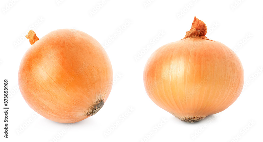 Two yellow onion bulbs isolated on white