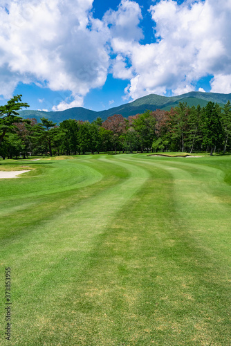 Golf Course with beautiful green field. Golf course with a rich green turf beautiful scenery. © okimo