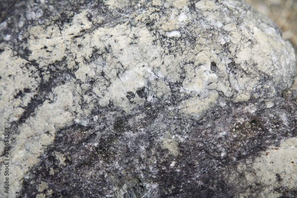 Close-up of rock Close-up of rock