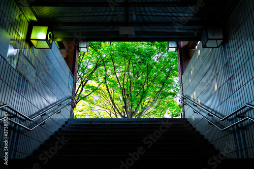 地下鉄駅の出口で迎えてくれた心落ち着く樹木