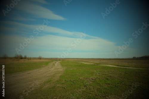 Dirt road in the fields on a spring day. Country landscape. Beautiful cloudy sky over the field. Vignette.