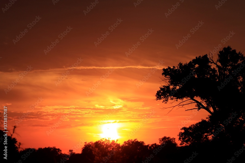 Colorful Sunset with clouds and tree's out in the country in Kansas. Colorful Sunset with clouds and tree's out in the country in Kansas.
