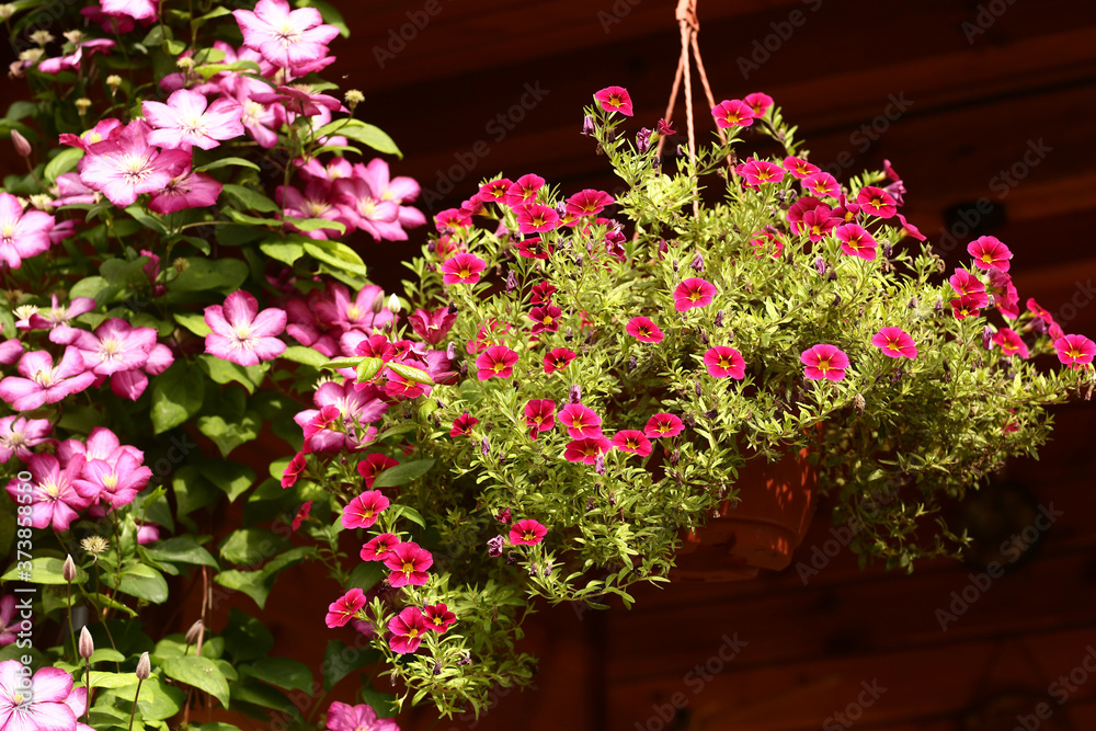 flower basket hang on country house porch