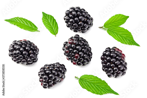 Foto blackberries with leaves isolated on white background