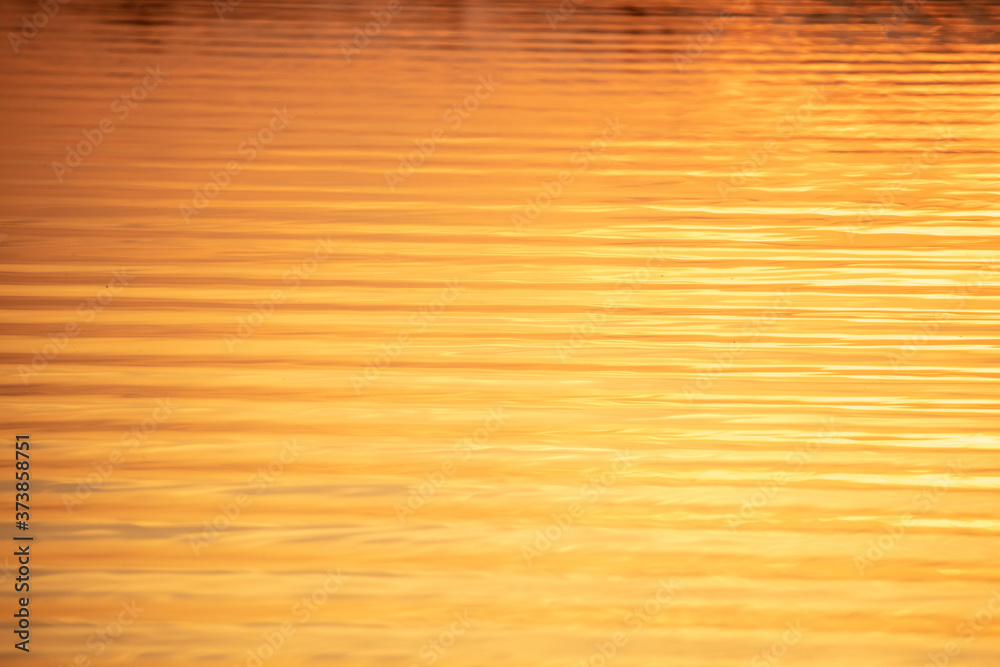 The expanse of water at sunset in summer. The expanse of water at sunset in summer.