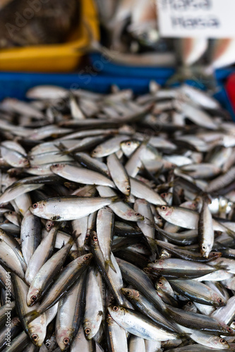 Fresh Dilis Small Fish in the Farmer's Market