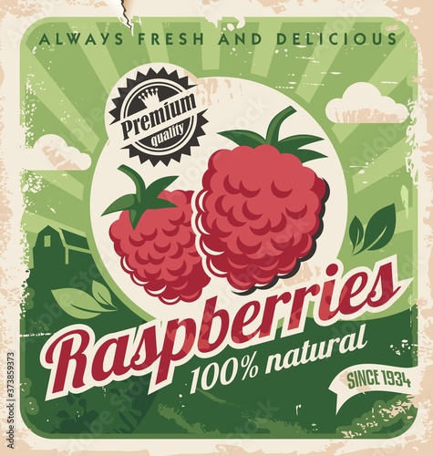 Raspberries farm retro poster design on old paper texture. Old vintage advertisement for organic fruit product. Vector image.