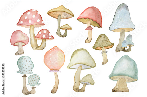 Watercolor illustration of a large set of forest colorful mushrooms hand-painted with watercolors suitable for all kinds of designs.