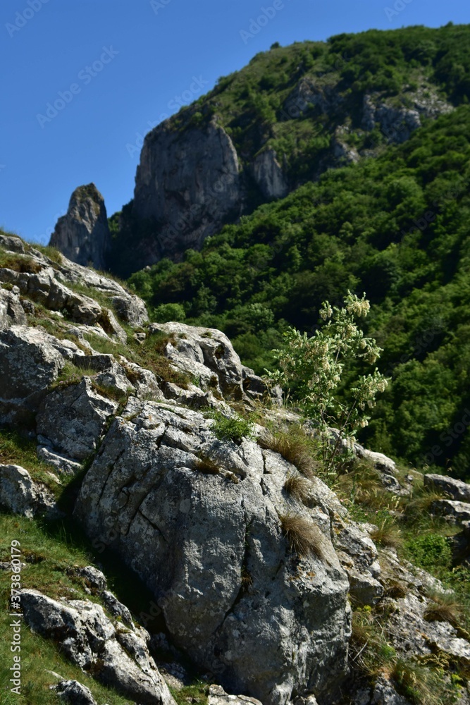 steep rock with grass and green bushes