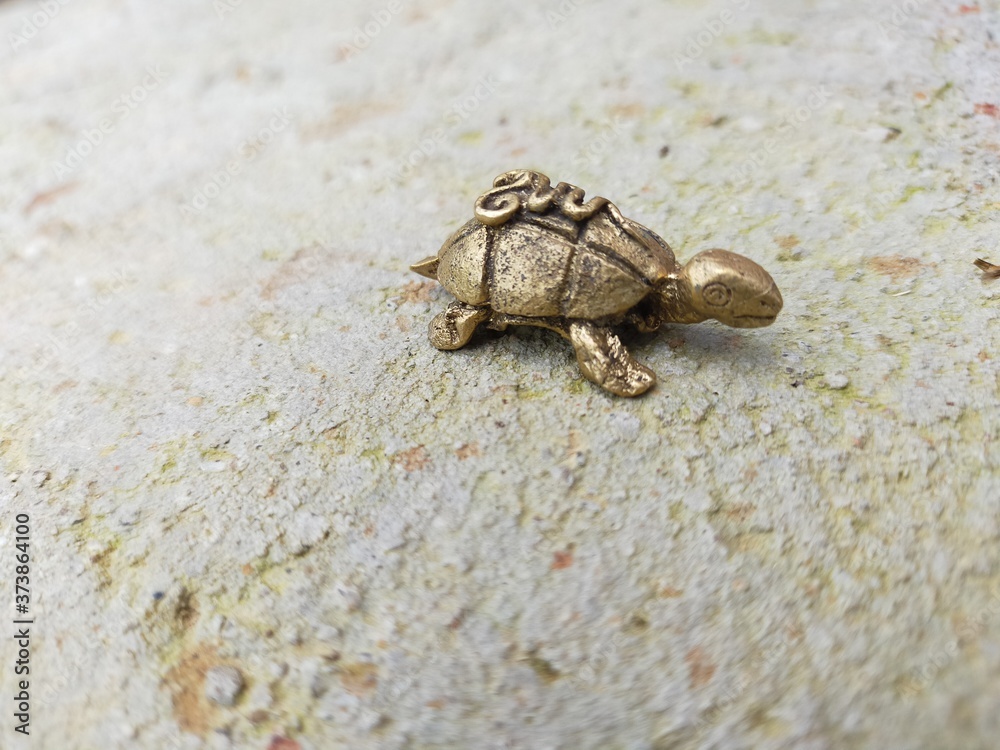 the brass color texture of turtle 