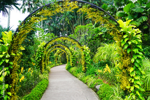 Obraz na plátne Beautiful view of Singapore botanic gardens in Australia