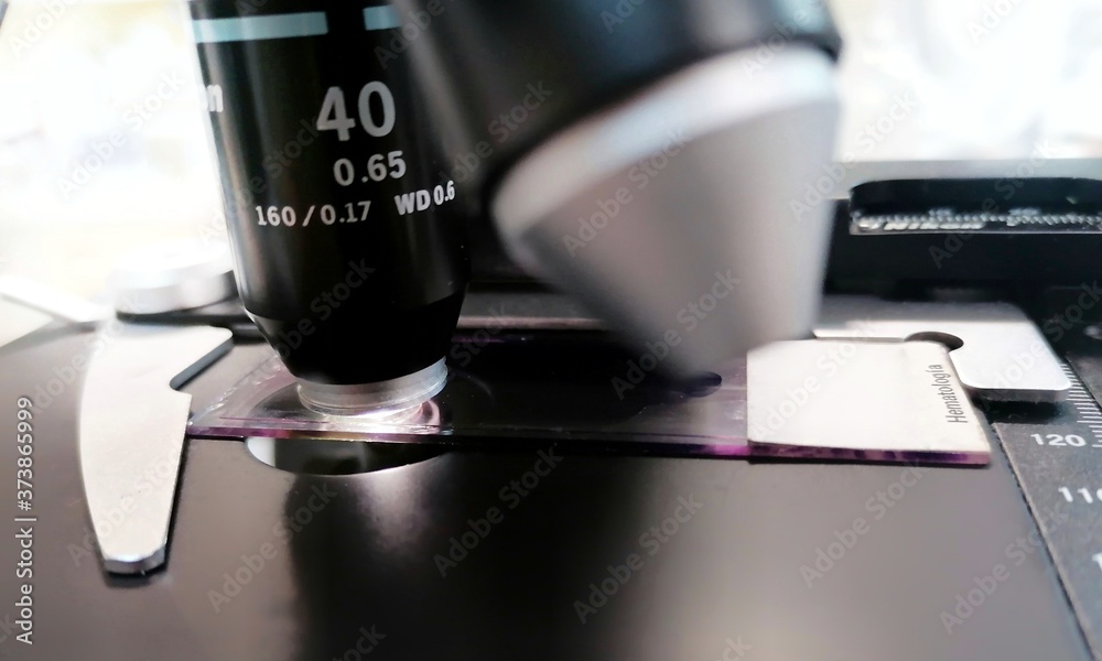 Investigación y estudio de microbiología, hematología, ciencias de la salud, ciencia al microscopio. Investigación y estudio de microbiología, hematología, ciencias de la salud, ciencia al microscopio.