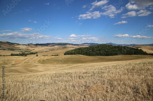 Beautiful Tuscany Landscape, Val D'Orcia