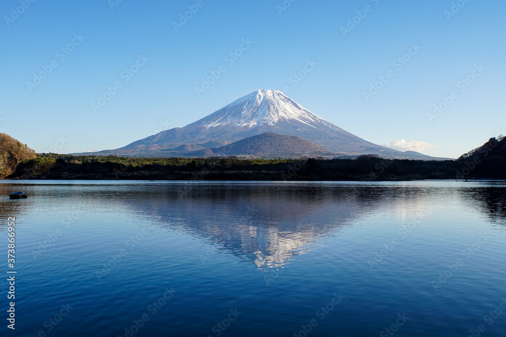 富士五湖　富士山