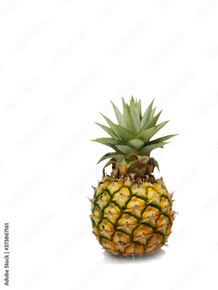 pine apple cutout shape on white background Isolated