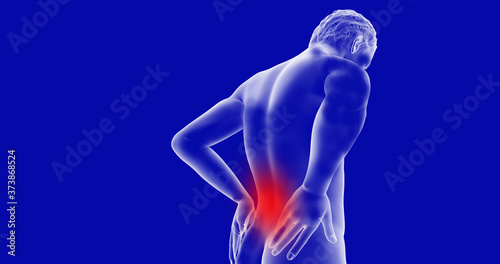 x ray image of human body   back pain 