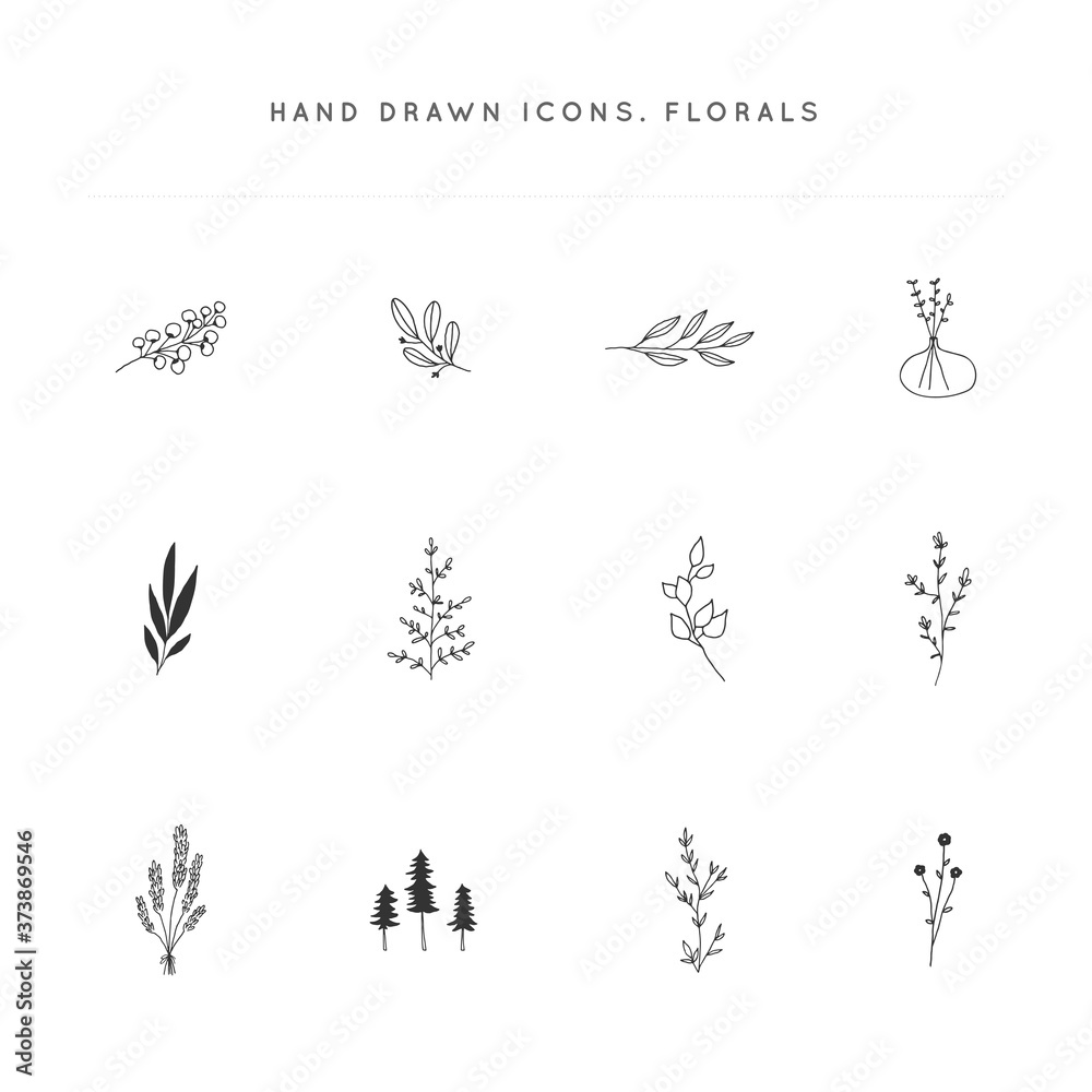 Hand drawn flowers and leaves. Set of vector floral icons. Hand drawn flowers and leaves. Set of vector floral icons.