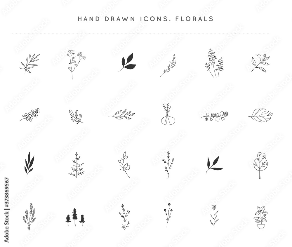 Set of vector hand drawn floral icons. Flowers and leaves.