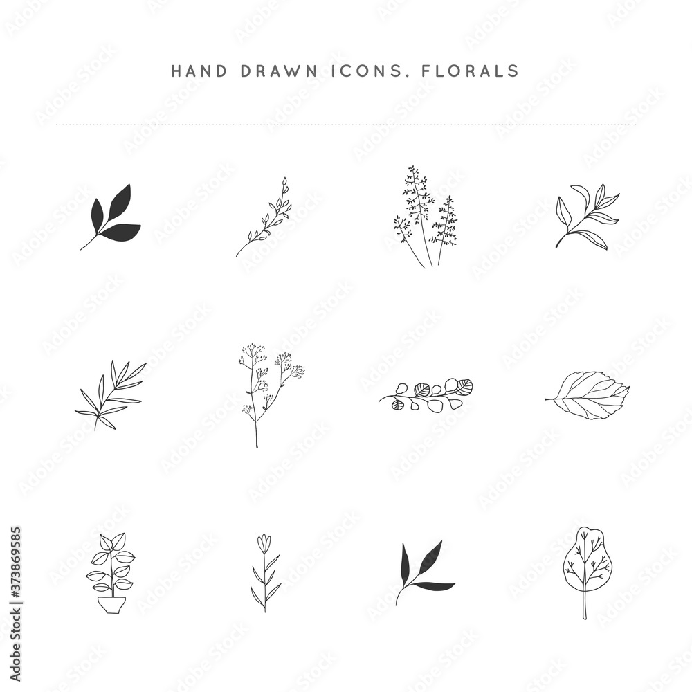 Flowers and leaves. Set of vector hand drawn floral icons.