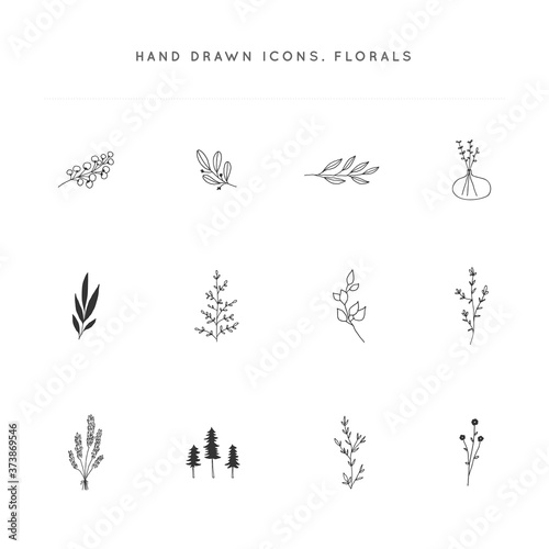 Hand drawn flowers and leaves. Set of vector floral icons.