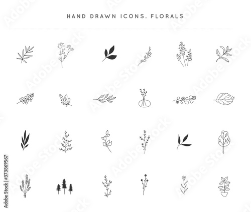 Set of vector hand drawn floral icons. Flowers and leaves.