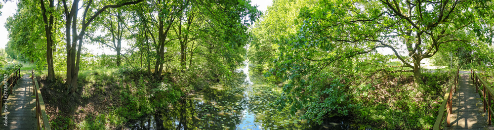 Panorama mit Bach in der Mitte und Wegen an den Seiten mit grünen Bäumen Panorama mit Bach in der Mitte und Wegen an den Seiten mit grünen Bäumen