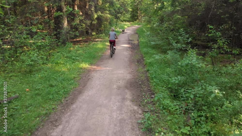 Young cyclist riding on a nice road in the forest surrounded by trees on a sunny day. Young cyclist riding on a nice road in the forest surrounded by trees on a sunny day.