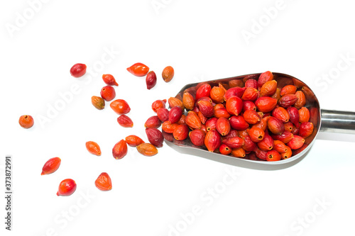 Fresh berries of wild rose in a metal scoop on a white background. Close-up