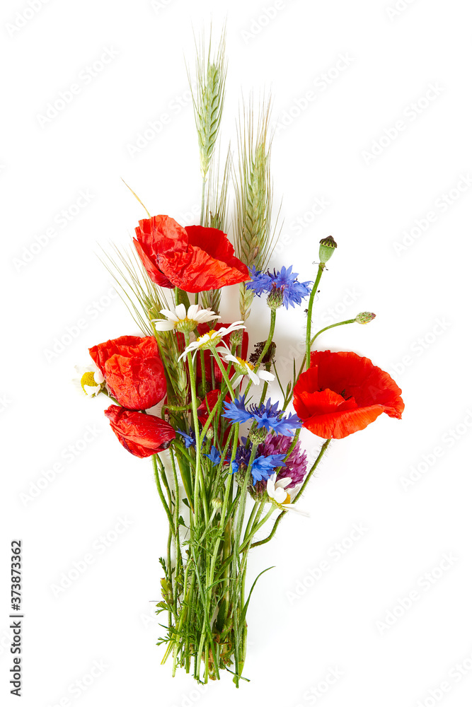 Obraz premium cute cornflowers bouquet isolated on white background