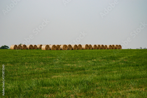 Rural landscape with hayrolls near Rolla, Missouri, USA. photo